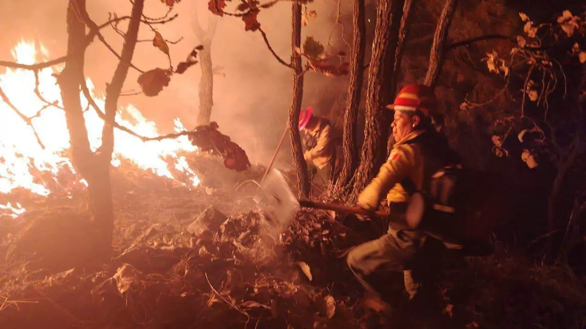 Gobierno de Jalisco Incendio